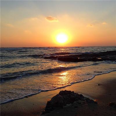 PG麻将胡了免费版手机app下载截图